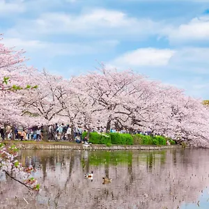 浅草圈4层独栋别墅 免费停车场 近车站 可直达机场 , 東京都 日本